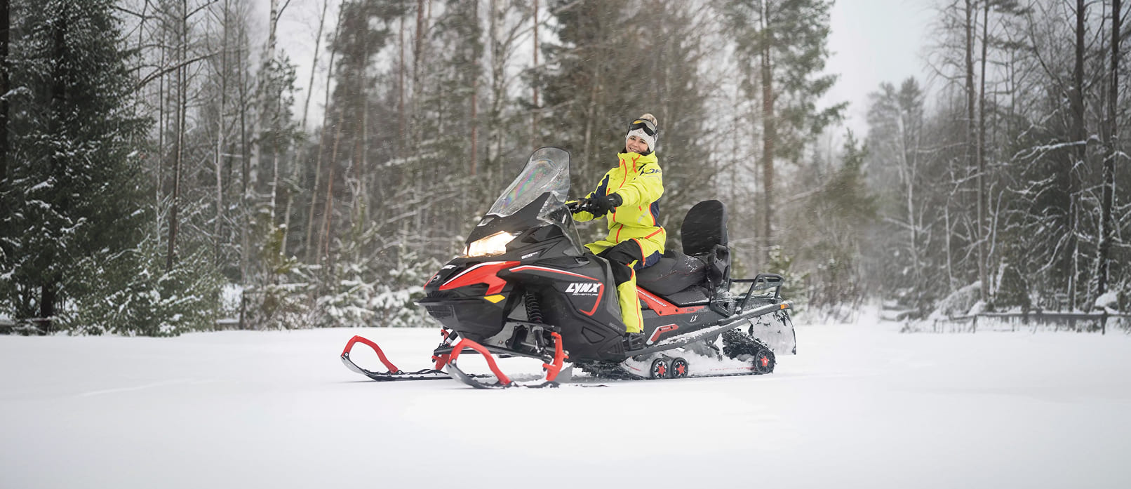 Идеальная управляемость